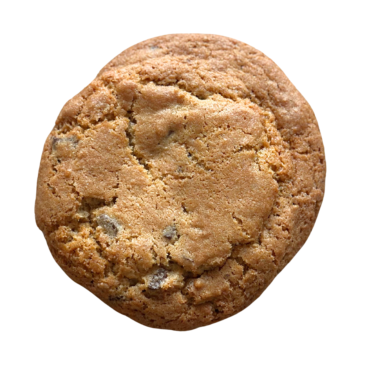 Chocolate Chip Cookie