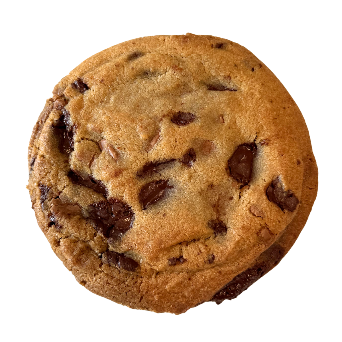 Chocolate Chip Cookie